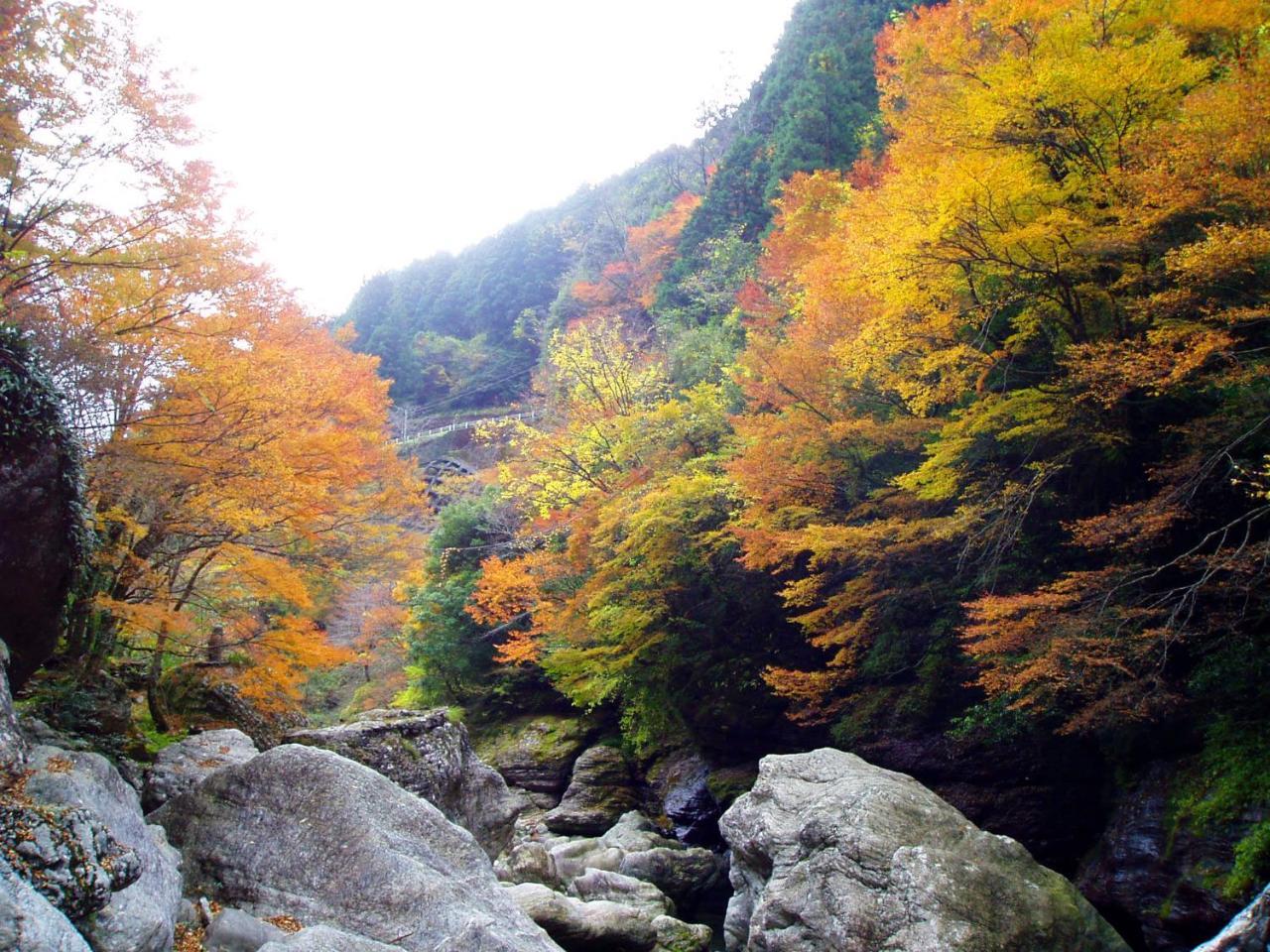 Nature Resort In Niyodo Niyodogawa Luaran gambar