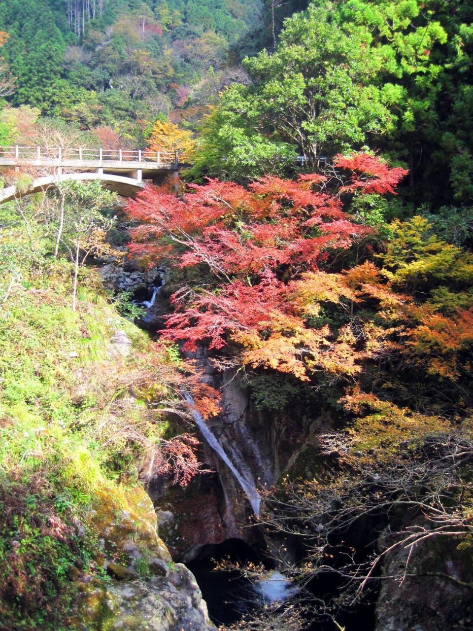 Nature Resort In Niyodo Niyodogawa Luaran gambar
